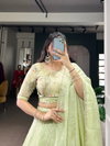 Lnb1100 Allen Crush Lehenga With Blouse Dupatta Suppliers In India